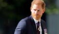 Prince Harry: Everything we know about the royal's 'second family' and support system