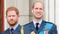 Prince William and Harry: Royal expert claims their feud is 'crossing generations'