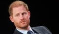 Prince Harry: Royal expert claims Lady Diana's family asked him to 'reconsider haste towards marriage'