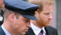 Prince Harry accuses William of 'knocking me to the floor' during violent altercation