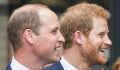Prince Harry and Prince William's feud may have started in their childhood due to this bizarre reason