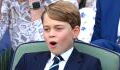 Prince George: Expert believes the royal may join the army when he grows up, just like Prince William