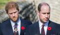Prince Harry and Prince William in mourning as uncle Lord Robert Fellowes dies at the age of 82