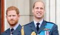 Prince William and Prince Harry’s relationship could worsen due to inheritance