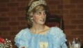 Lady Diana: Rare and never-before-seen photo of royal has been revealed by brother Charles Spencer