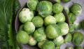 People shocked to realise the actual way to cook delicious brussels sprouts