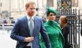 Meghan Markle and Prince Harry Have Been Getting Advice From… Adele