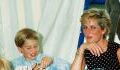 Prince William Finally Speaks Openly About Lady Diana's Traumatic Passing