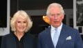 Prince Charles and Camila receive first COVID-19 jab