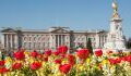 Buckingham Palace gardens will be open for business this summer