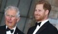 Prince Charles accuses Harry of constantly 'asking for more money'
