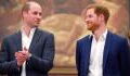 William and Harry set aside differences to unveil Lady Diana’s statue