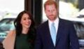 Prince Harry and Meghan Markle issue statement taking ‘subtle shots’ at royals