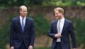 Harry tried to engage with William at Diana’s tribute, here’s how his brother reacted