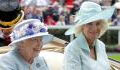 Queen Consort: The Queen didn't consult Johnson when deciding Camilla's role
