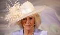 Camilla Parker Bowles: Fans concerned as the Duchess of Cornwall is seen shaking