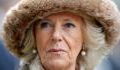 Camilla Parker Bowles: Concerns over her health as she misses Cheltenham trip