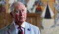 Prince Charles: The Duke of Cornwall may open multiple royal estates to Ukrainian refugees