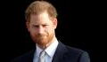 Prince Harry: The Duke of Sussex’s ex-bodyguard speaks out about his safety