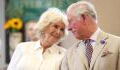 Prince Charles and Camilla Parker Bowles to make surprising appearance on popular British soap