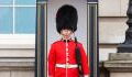 Public uproar as the Queen’s guards forced to wear full uniforms during heatwave