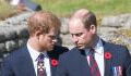 Prince William will visit US next month but may not meet Prince Harry, here’s why