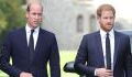 Have Prince Harry and Prince William finally buried the hatchet? Not everyone is convinced