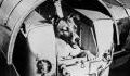 'First dog in space': The dark reality of what happened to Laika