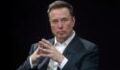 Elon Musk: SpaceX CEO makes terrifying statement on mankind's existence