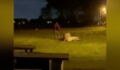 Wedding descends into complete chaos as bride brawls in field (VIDEO)