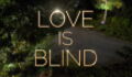 Love Is Blind: Netflix's new binge-worthy 'experiment' that has us wanting more