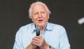 Sir David Attenborough reveals the one thing he regrets in life