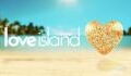 Love Island All-Stars: From Toby Aromolaran to Jake Cornish, the official lineup revealed