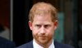 Prince Harry: Royal experts reveal why his meeting with King Charles was only 45 minutes