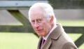 Prince Harry: Royal expert makes unfounded claim King Charles did not want him to come to the UK