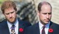 Will Princes William and Harry meet up in NYC? Here's why it won't happen