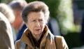 Princess Anne named the hardest-working royal in 2024 for the fourth year in a row