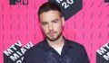 Liam Payne's close friend Roger Nores files $10M defamation lawsuit against his father Geoff