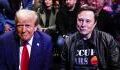 Donald Trump's relationship with Elon Musk could be changing, sources claim: 'Trump does complain a bit'
