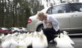 She Thought She Was Feeding The Pigeons, Then She Got A Big Surprise