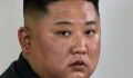 Death by piranha: Did Kim Jong-un really execute a general with these deadly fish?
