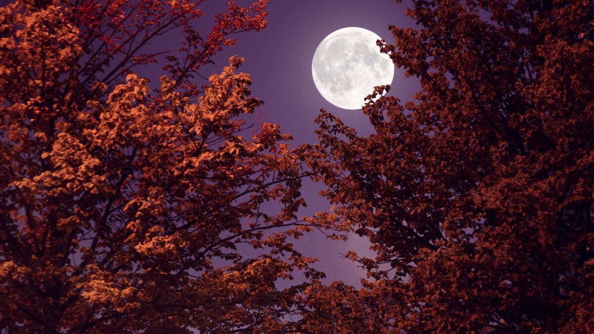 This is when you can observe the September harvest supermoon