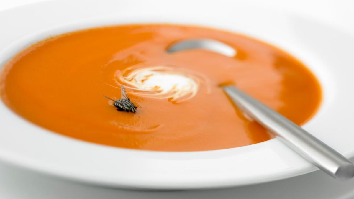 Here's what happens if you accidentally swallow a bug