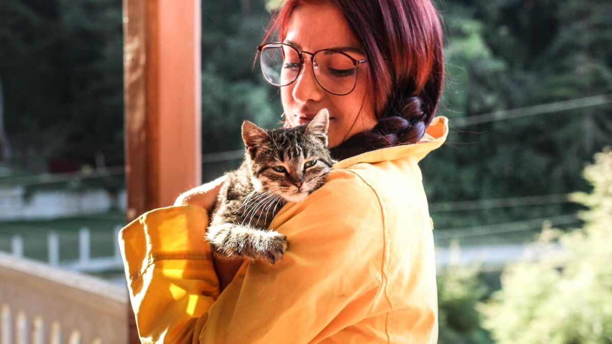5 ways to make your cat like you more