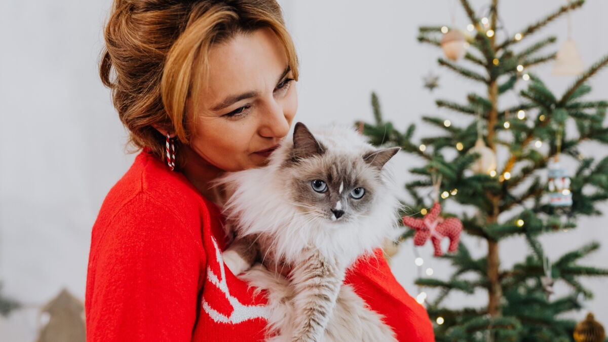 10 Christmas gift ideas for cat lovers that are under £15