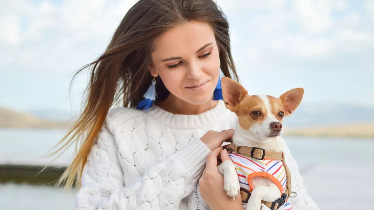 The heartbroken family’s relief as their stolen dog is found a year later