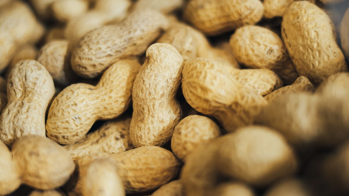 Eating boiled peanuts could cure this common potentially fatal condition