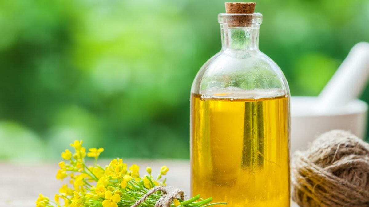 Is canola oil really bad for your health? Here's what the experts have