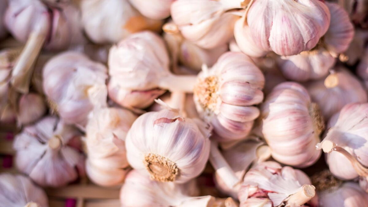 Garlic How sleeping with garlic under your pillow could improve your