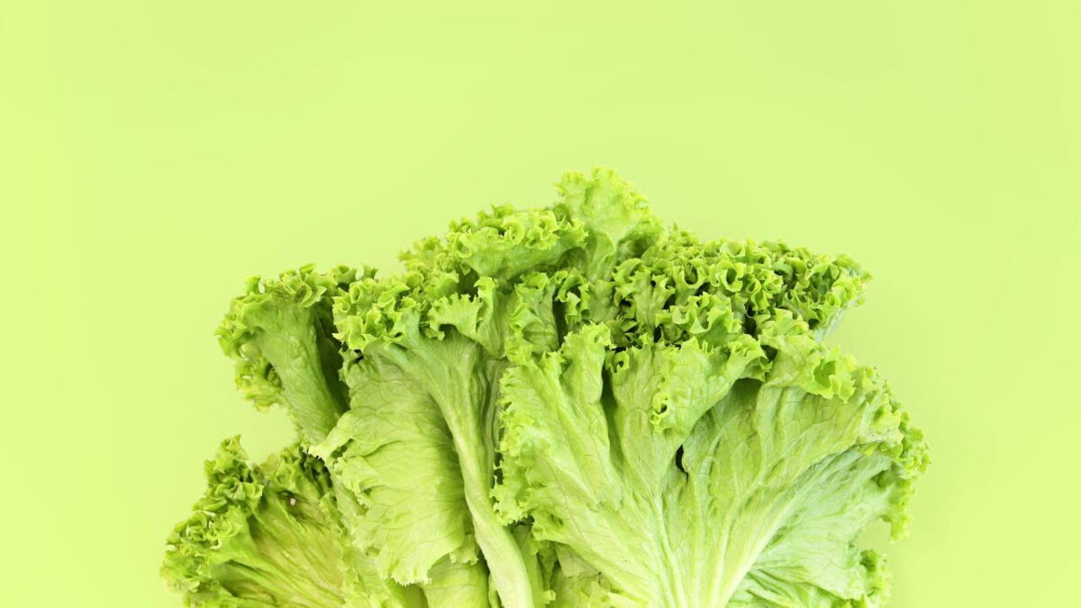 Struggling to sleep? This TikTok lettuce hack can cure insomnia